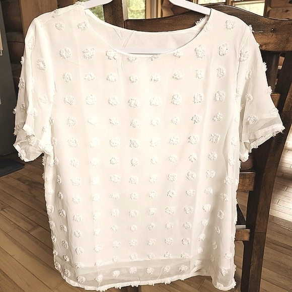 Beautiful Ivory Layered Sheer Textured Polka-dot Short Sleeve Blouse - Picture 1 of 10